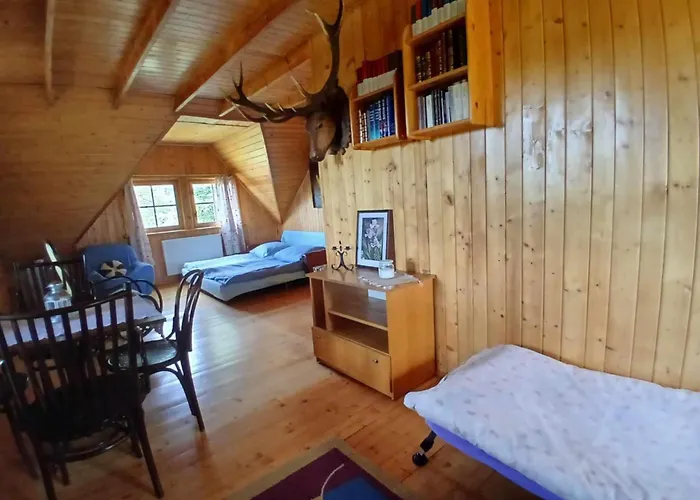 Dom Na Mazurach Wynajem Caloroczny Blisko Jeziora Nidzkie Bilard Sauna *